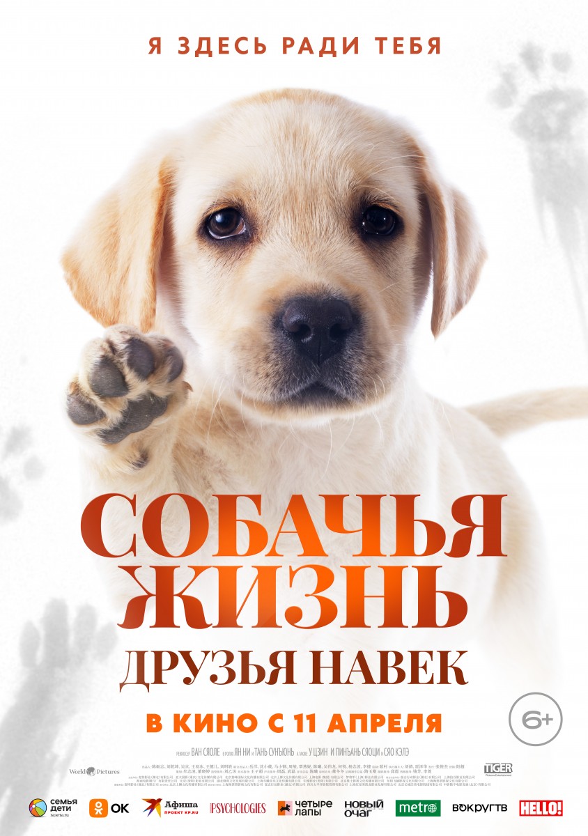 Куда сходить в Москве в апреле: ТОП-6 идей для новых впечатлений.